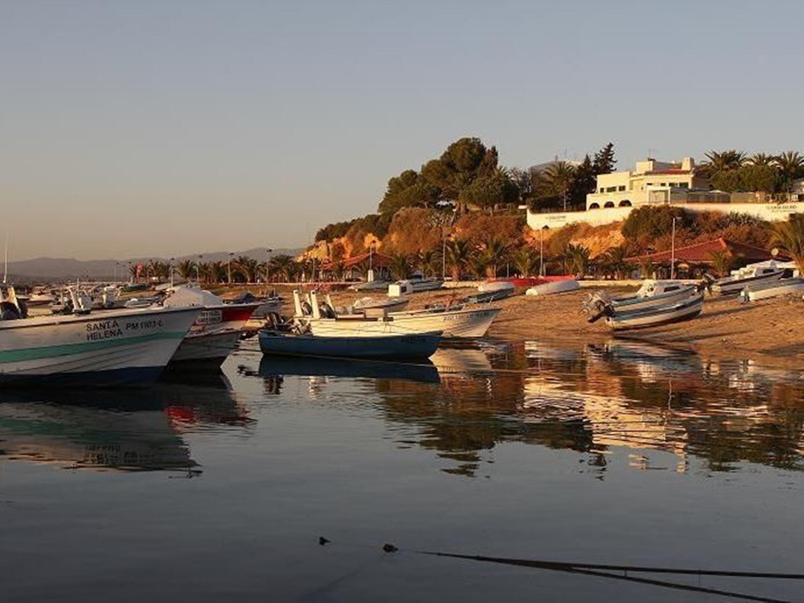 Yellow Alvor Garden Exterior photo